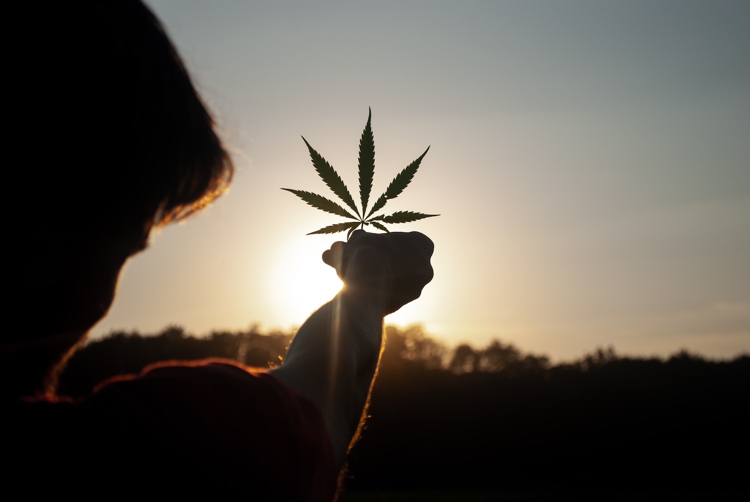 health benefits of smoking marijuana 1500