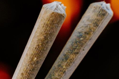 buy prerolls charleston