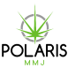 Polaris-Logo@2x